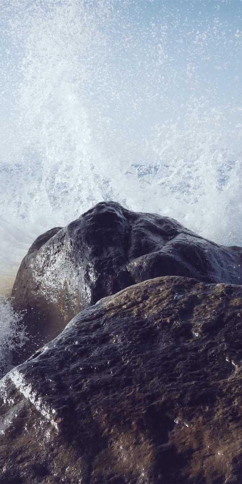 Home Page Image